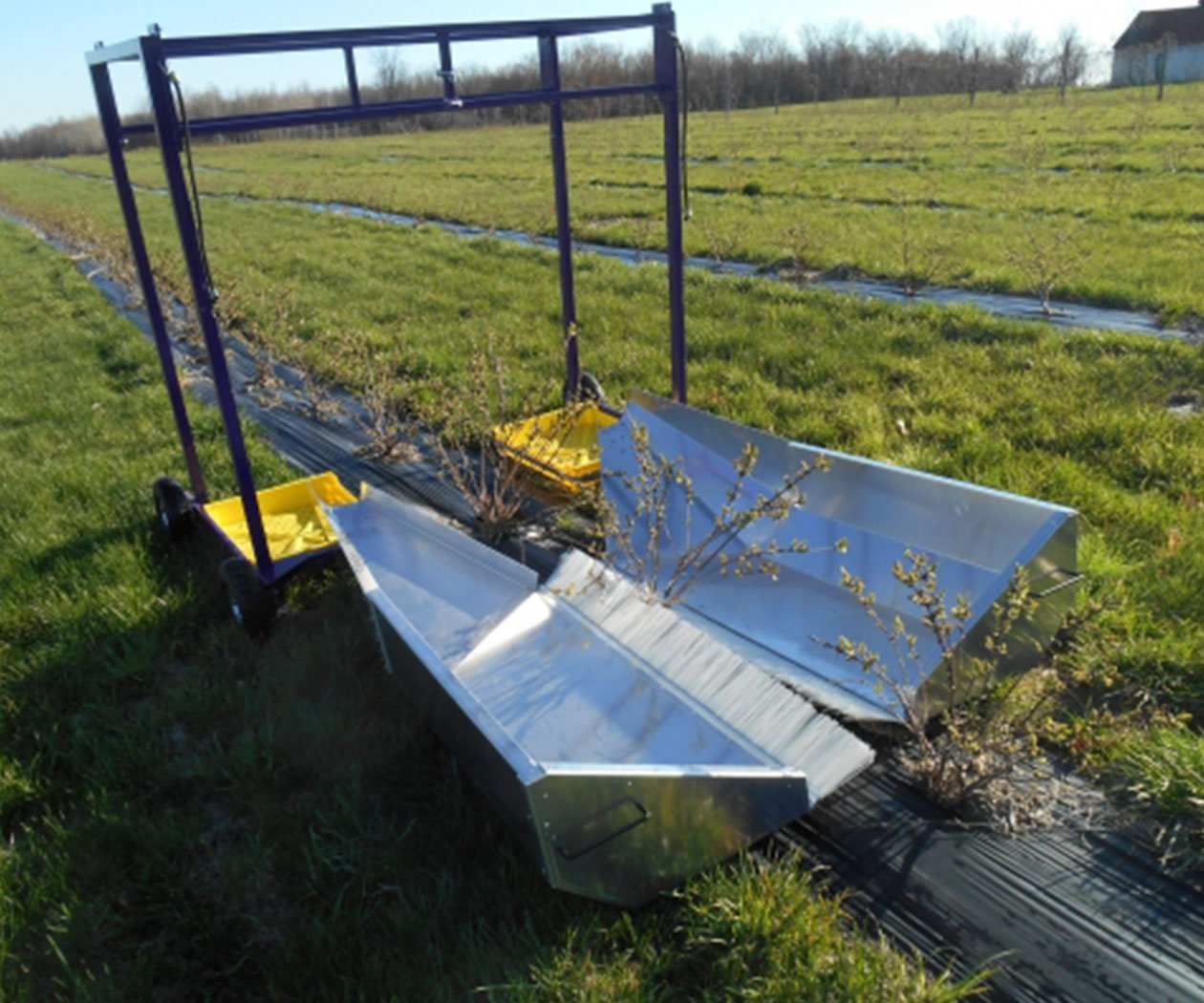 AR-18 Haskap Harvester - Image 3