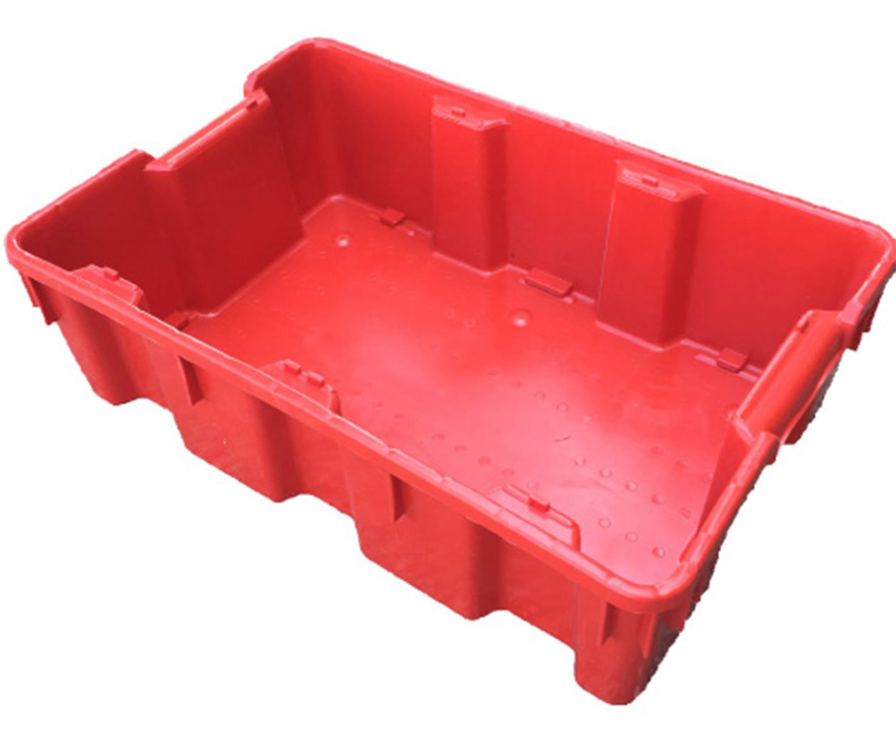 Haskap Berry Storage Tray