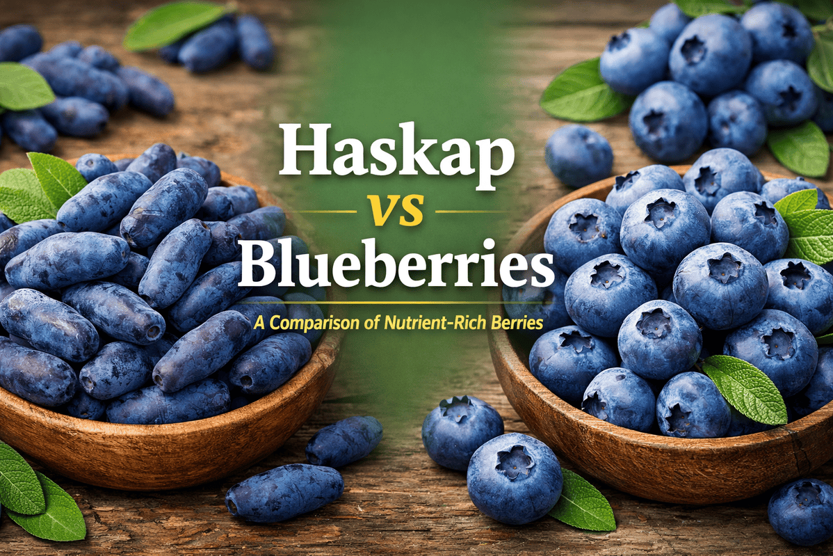 Haskap and blueberries comparison